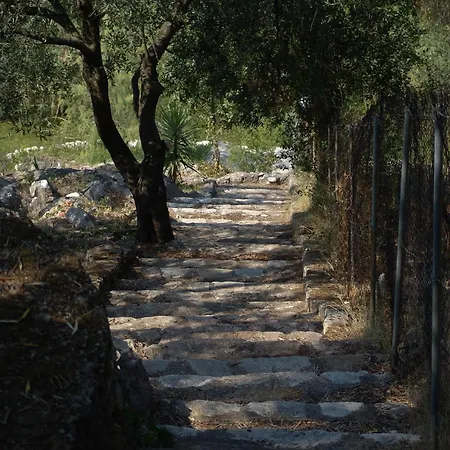 Vista Petros Lejlighed *